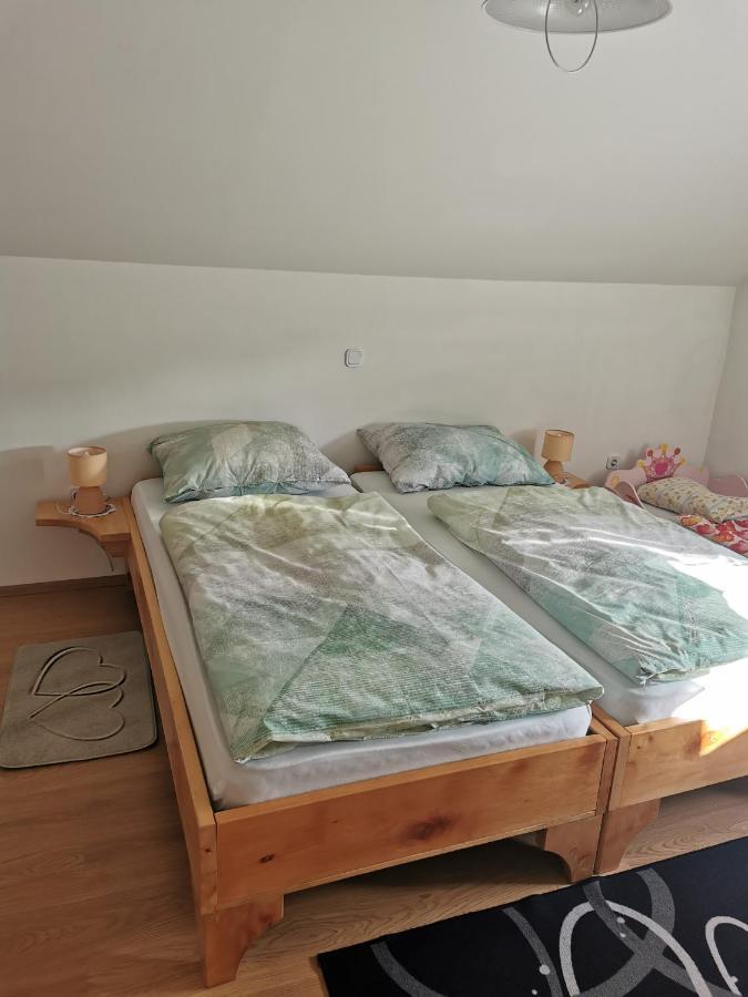 Apartman I Soba Hadela Sveti Martin Na Muri Exterior photo
